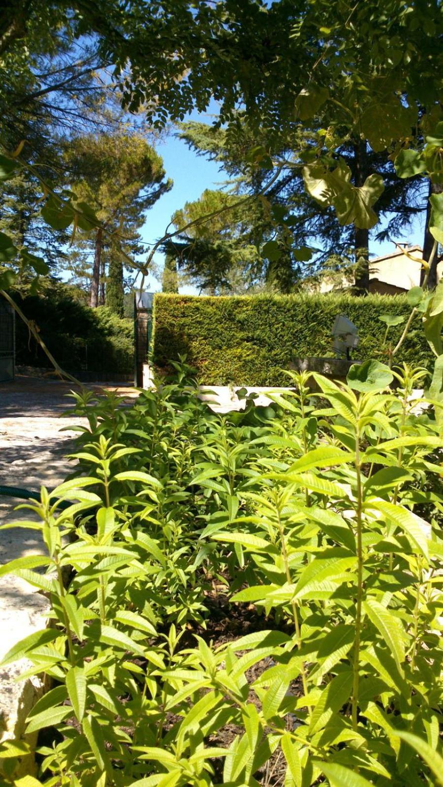 Les Verveines De Vaison Exterior photo